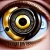 The eyes have it - Active vision as a window to mind & brain