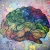 Cognitive Illusions