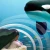 Animal Communication meets Machine Learning
