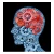 Mechanisms and Scientific Explanations